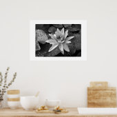 Poster Lotus (Küche)