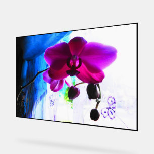 Poster, Magenta Orchidee, Farb Hintergrundoptionen Acrylschild