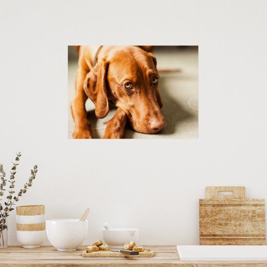 Poster Magyar Vizsla Ō en! (Küche)