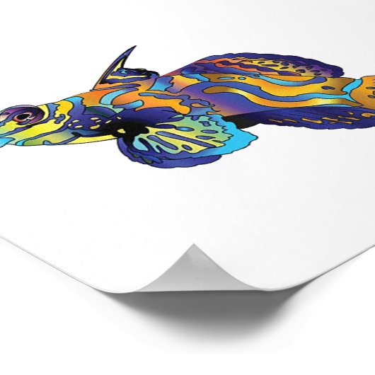 Poster - Mandarine Fish (Ecke)