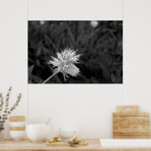 Poster Maria fecha a porta - danificada (Küche)