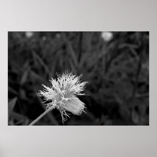 Poster Maria fecha a porta - danificada (Vorne)