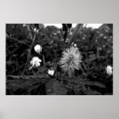 Poster Maria fecha a porta - dark (Vorne)