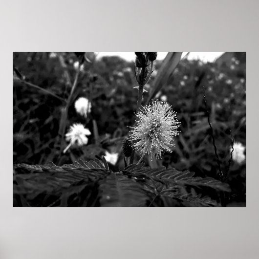 Poster Maria fecha a porta - dark (Vorne)