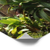 Poster Maui Surfboard Zaun (Ecke)