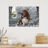 Poster mit Basset Hound Burg Ruin (Küche)