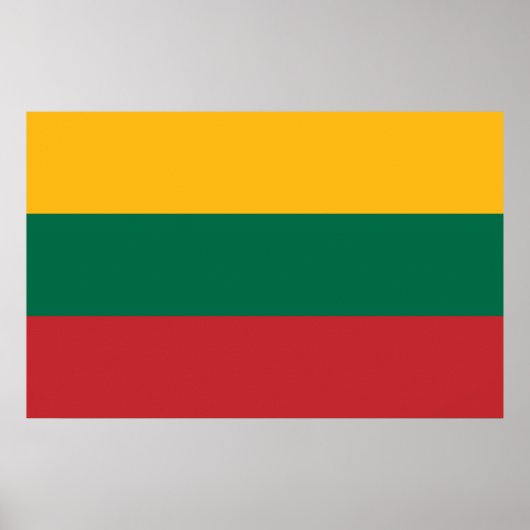 Poster mit der Flagge Litauens (Vorne)