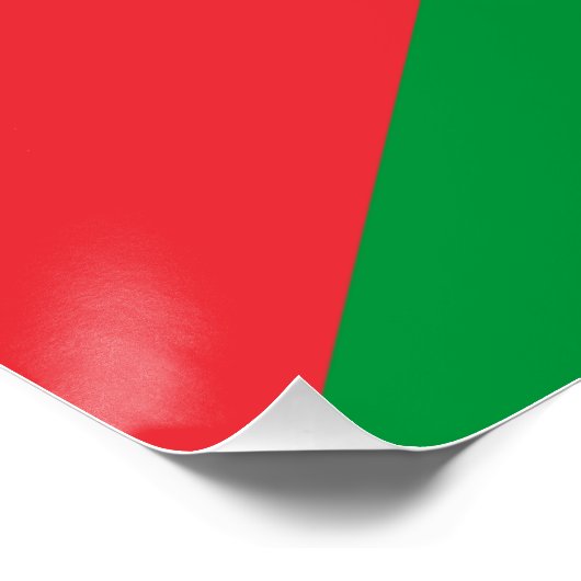 Poster mit der Flagge Palästinas (Ecke)