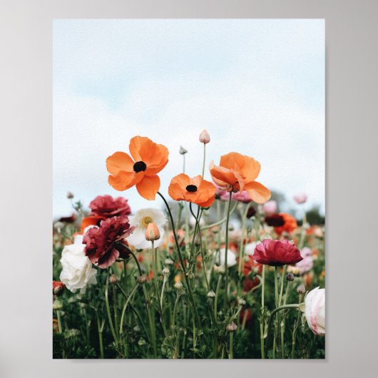 Poster mit drei orangefarbenen Blumen (Vorne)