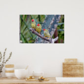 Poster mit drei Sternen (Küche)