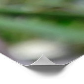 Poster mit drei Sternen (Ecke)