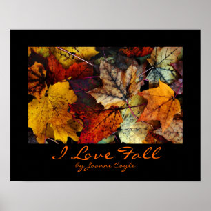 Poster mit Druckoptionen