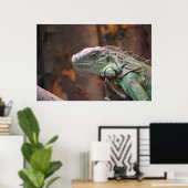 Poster mit farbiger Iguana-Eidechse (Heimbüro)