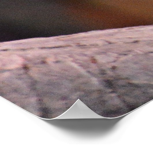 Poster mit farbiger Iguana-Eidechse (Ecke)