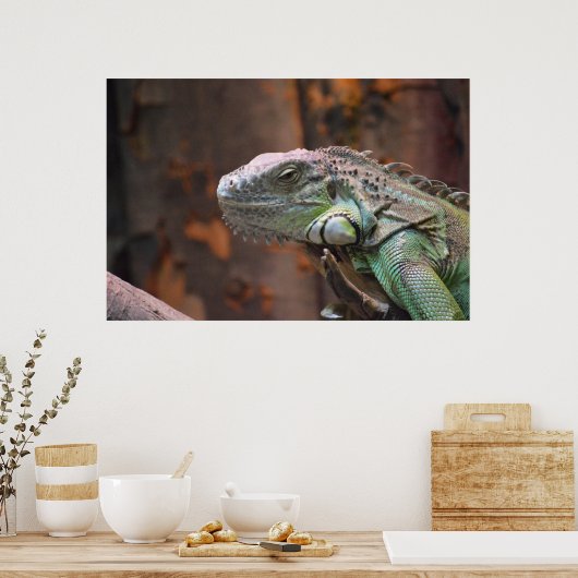 Poster mit farbiger Iguana-Eidechse (Küche)