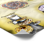 Poster mit gemeinsamen Namen 18x12 Pilze (Ecke)