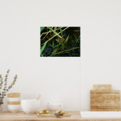 Poster mit mimetischem Frosch (Küche)