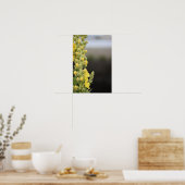 Poster mit Orange Königskerze Blumen (Küche)