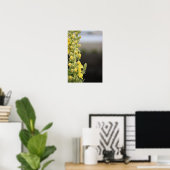 Poster mit Orange Königskerze Blumen (Heimbüro)