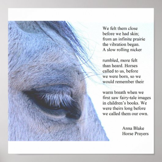 Poster mit Pferd und Gedicht von Anna Blake. (Vorne)