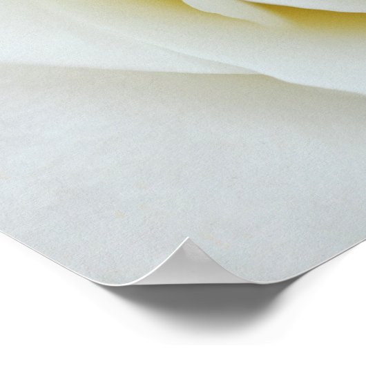 Poster mit Rosa Blume (Ecke)