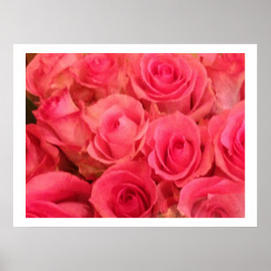 Poster mit rosa Rosenfoto