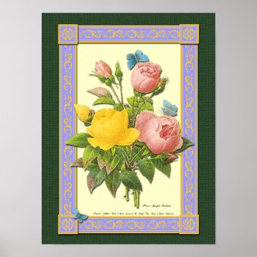 Poster mit rosa und gelben botanischen Rosen (Vorne)