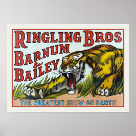 Poster mit Vintagem Circus Tiger Print