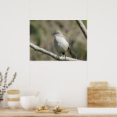 Poster - Mockingbird (Küche)