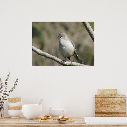 Poster - Mockingbird (Küche)