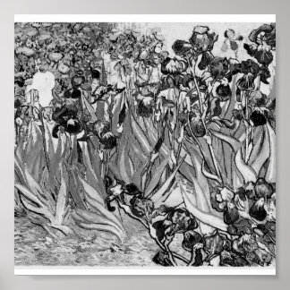 Poster-Monochrom-Van Gogh-Ire Poster