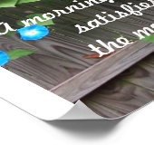 Poster/Morgenglorie Poster (Ecke)