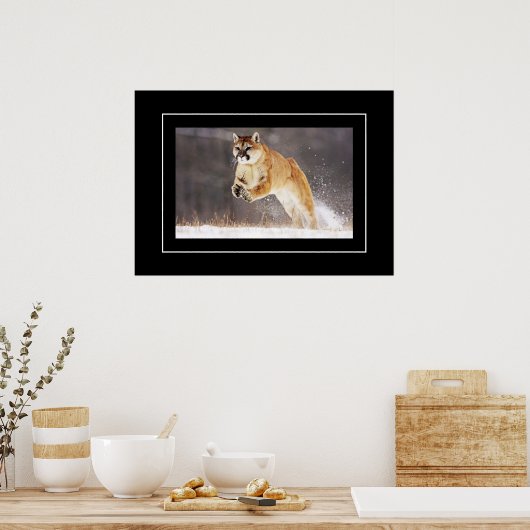 Poster-Mountain-Lion Poster (Küche)