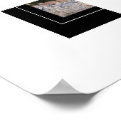 Poster-Mountain-Lion Poster (Ecke)