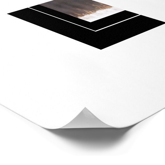 Poster-Mountain-Lion Poster (Ecke)