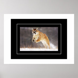 Poster-Mountain-Lion Poster