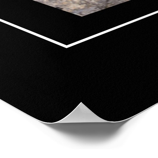 Poster-Mountain-Lion Poster (Ecke)