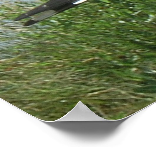 Poster - Möwe am Spulen (Ecke)