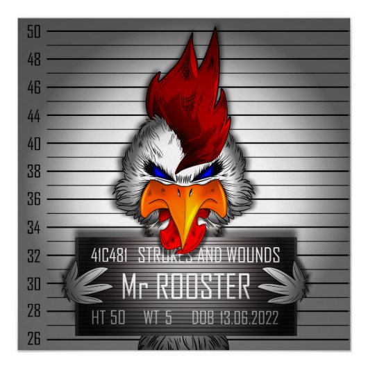 Poster Mr Rooster (Vorderseite)