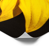 Poster - Nahaufnahme Sonnenblume (Ecke)