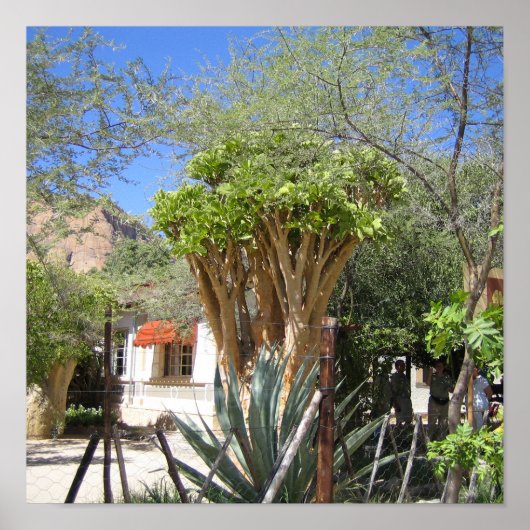 Poster Namibia (Vorne)