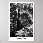 Poster Natures Tower (Vorne)
