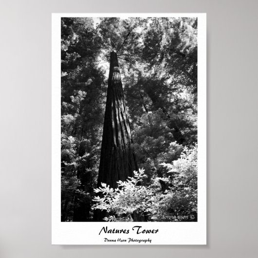 Poster Natures Tower (Vorne)