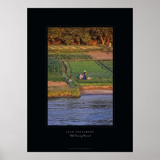 Poster "Nile Abend Harvest" (Vorne)