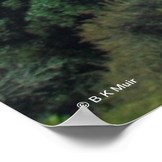 Poster - Oakland Bay Bridge 2013 (Ecke)