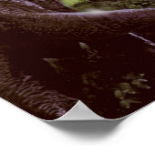 Poster oder Print (Ecke)