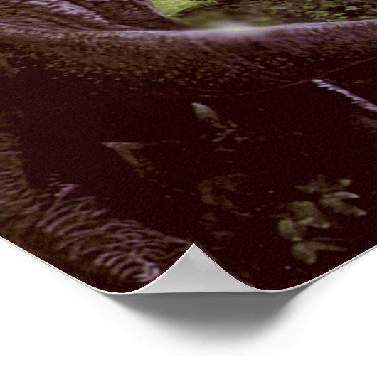 Poster oder Print (Ecke)