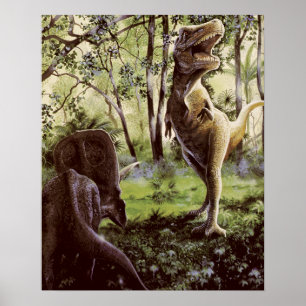 Poster oder Print