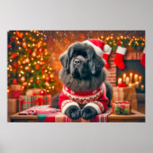 Poster of Newf Posing for Annual Portrait (Vorne)