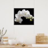 Poster-Orchid-Blume Poster (Küche)